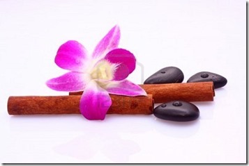 7077426-spa-wellness 7077426-spa-wellness