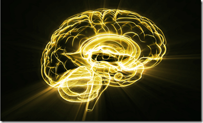 260291_10151674843907518_1073142538_n