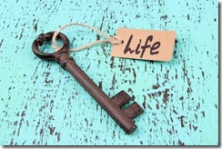 10501634_10152483771078046_6376046067124349017_n