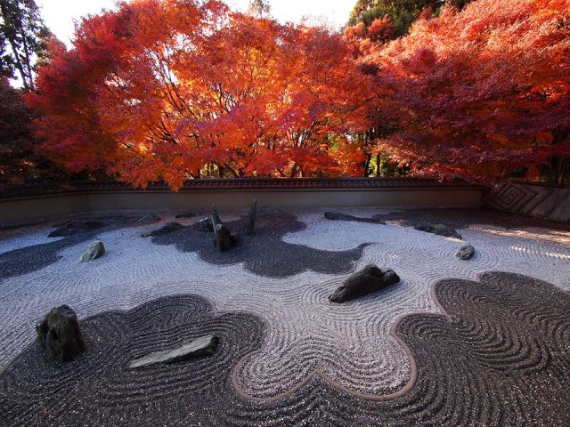 996972_621934824532791_1132991476_n