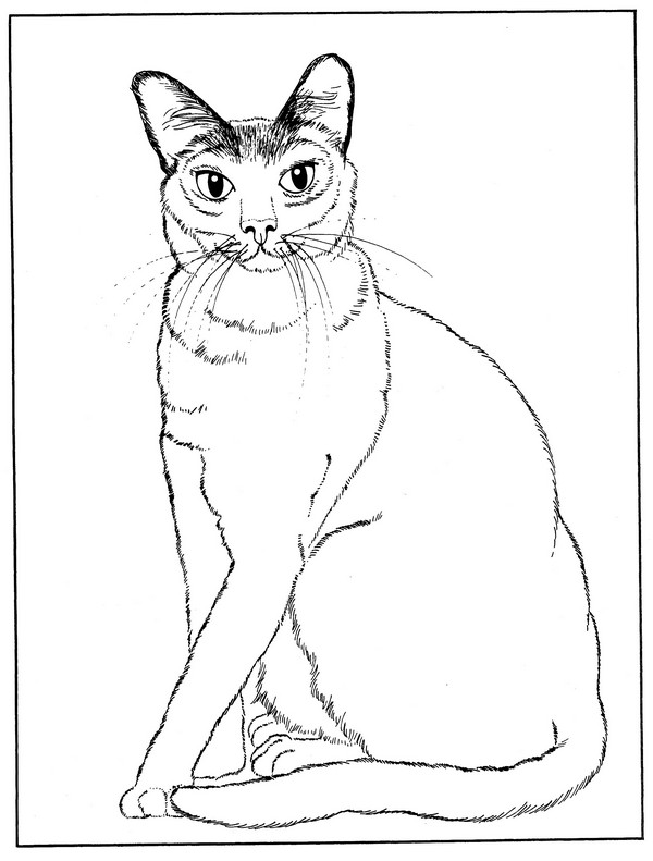 CPCT-Tonkinese-TR.jpg
