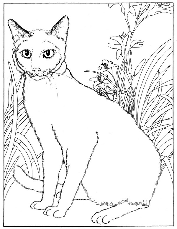 CPCT-Russian Blue-TR.jpg